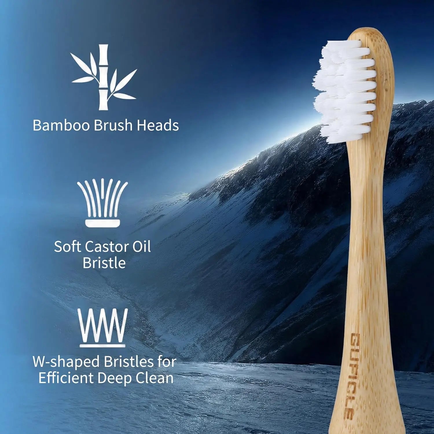 Bamboo Sonic Toothbrush
