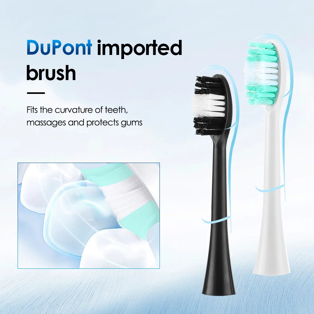 Sonic Dental Scaler