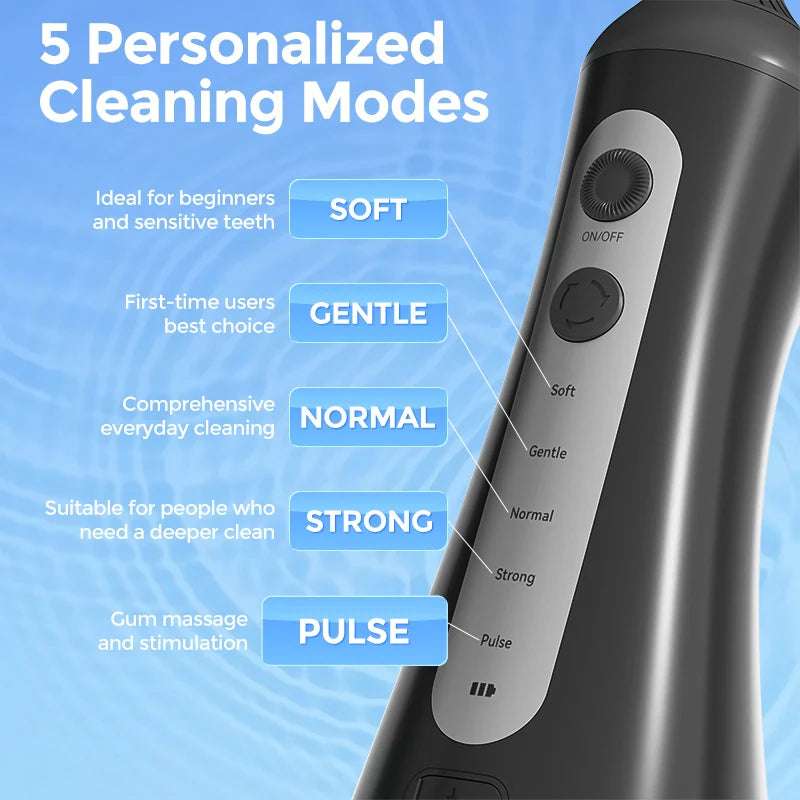 Sejoy Water Flosser Picks